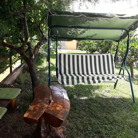 Sara تريبينيي