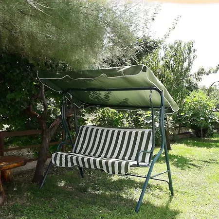 Sara * تريبينيي