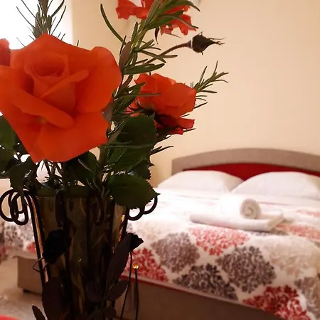 Sara * تريبينيي